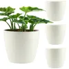 A plant in a white pot is shown alongside three other empty white pots. Produktbild-Vorschau