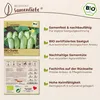 Samenliebe  Gurke Samen | Russische Gurke - kurze & robust Produktbild-Vorschau 3