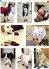 Hundeschuhe pfotenschutz mit Anti-Rutsch Sohle, Produktbild-Vorschau 8
