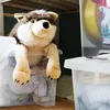 2x 60L Aufbewahrungsbox mit Deckel und Rollen große Box Produktbild-Vorschau 8
