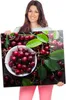 Spritzschutz Herdabdeckplatte Schneidebrett aus Glas Produktbild-Vorschau 4