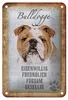 Blechschild Spruch 12x18cm Bulldogge Hund gesellig Schild Produktbild-Vorschau 1