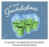 Kosmos 657802 Experimenteerdoos - Mimosen-tuin Productafbeelding-voorbeeld 13