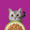 Whiskas Gemischte Auswahl in Gelee Katzennassfutter 40 Produktbild-Vorschau 7