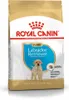 Royal Canin Labrador Retriever Puppy 12kg Produktbild-Vorschau 1