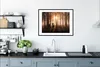 MuchoWow® Gerahmtes Poster Wald - Hirsche - Sonne - Bäume - Produktbild-Vorschau 4