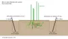 Barrières Anti Racine et Anti Rhizomes 2mm - 0,70m x 25m Voir les images du produit 5