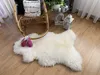 Sheepmania Lambskin Genuine Unsheared Large - Hustá Náhled obrázku produktu 4