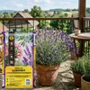 Kik | Erde Für Mittelmeerpflanzen - 20 L - Ideales Ph Produktbild-Vorschau 6