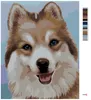 Zuty - Malen nach Zahlen - HUSKY (MYROSLAVA VOLOSCHUK), Produktbild-Vorschau 3