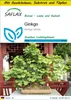 SAFLAX Anzucht Set - Ginkgo - Ginkgo biloba - 4 Samen - Mit Produktbild-Vorschau 1