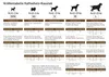 Chewies Kaffeeholz-Kaustab - Größe S, Snacks, Hund, Adult, Produktbild-Vorschau 5