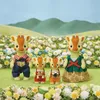 Sylvanian Families 5639, 3 rok / roky, Viacfarebný, Náhľad obrázku produktu 10