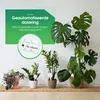 Wassertropfer 8er Set für Pflanzen transparent - Produktbild-Vorschau 2