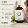 Resilovit PrePeriod Kapseln 60 St – Vitamine & Produktbild-Vorschau 2