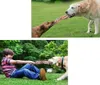 EDIBAZZAR | Anello di dentizione in corda per cani, grande, Anteprima dell’immagine prodotto 13