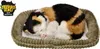 Adopt Me Atmungsaktive Kätzchen Dreifarbig Perfect Petzzz Produktbild-Vorschau 1