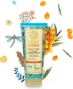 Natura Siberica Scalp Scrub with Organic Oblepikha Produktbild-Vorschau 2