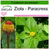 SAFLAX - Zioła - Paracress - 500 Nasiona - Z podłożem Podgląd zdjęcia produktu 10