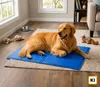 KANDONEX Kühlmatte Hund & Katze – Selbstkühlende Produktbild-Vorschau 4
