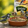 PANTO Streufutter – 20 kg Wildvogelfutter – Mischung mit Produktbild-Vorschau 3