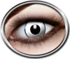 Zoelibat Eyecatcher White Zombie 3 Monatslinsen weiße Produktbild-Vorschau 2