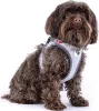 Curli Glow Clasp Vest harnais gris réfléchissant XL Voir les images du produit 9