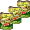 Erasco Grüne Bohnen Eintopf mit Rindfleisch 800g (1er Pack) Produktbild-Vorschau 1