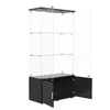 INONEFT Glasvitrine mit LED und 2 Türen, Vitrinenschrank Produktbild-Vorschau 12