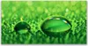 Tulup Leinwand-Bilder 140x70 Wandbild Canvas Kunstdruck Produktbild-Vorschau 1