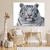 MuchoWow® Poster Tiger - Weiß - Tiere 120x90 cm - Wandbild Produktbild-Vorschau 7