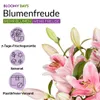 Blumenstrauß Pinke Lilien | Geschenk - frische Blumen | Produktbild-Vorschau 2