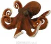 COLLECTA Chobotnica Náhľad obrázku produktu 2