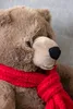 Gustaw Teddybär Groß XX Fred Bär(Braun, 30cm) - Plüschbär, Produktbild-Vorschau 3