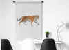 MuchoWow® Wandteppich Wandbehang Tiger - Weiß - Orange Produktbild-Vorschau 4