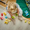 Lego Duplo 10477 Roztomilé kreatívne zvieratká 3 v 1 Náhľad obrázku produktu 25
