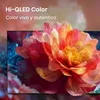 Téléviseur Hisense QLED 100 cm FHD 60 Hz T2CS Smart TV 100 Voir les images du produit 11