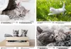 Katzenkinderzauber DIN A4 Kalender für 2026 Katzenkinder Produktbild-Vorschau 2