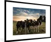 MuchoWow® Gerahmtes Poster Tiere - Kuh 90x60 cm - Poster Produktbild-Vorschau 1