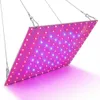 A close-up, angled view of a flat LED grow light panel with red and blue LEDs, suspended by wires. Náhľad obrázku produktu