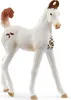 Schleich Horse Club Marwari Fohlen, Spielfigur Produktbild-Vorschau 1