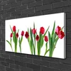 Tulup Leinwand-Bilder 100x50 Wandbild Canvas Kunstdruck Produktbild-Vorschau 2