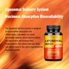 Liposomal NAD+ Trans-Resveratrol (120 Kapseln) Produktbild-Vorschau 9