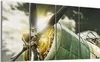 DEQORI Glasbild Echtglas 4x30x60 cm 'Propellerflugzeug nah' Produktbild-Vorschau 1