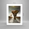Poster - Poster ohne Rahmen - Elefant Straße Landschaft - Produktbild-Vorschau 4