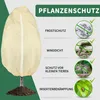 Protezione invernale per piante 85 g/m² Beige 80*100cm 3 Anteprima dell’immagine prodotto 5