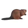 Animal Planet Biber Produktbild-Vorschau 12