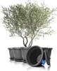 BigDean 6X Pot de fleurs avec soucoupe, rond, ø50 x H38 cm, Voir les images du produit 1