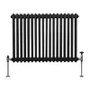 Traditionele radiator met 2 kolommen - 600 x 832 mm - Zwart Productafbeelding-voorbeeld 2