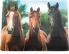 Onwomania Pfere Family Riding 9x7cm Magnes 3D Magnes na Podgląd zdjęcia produktu 1